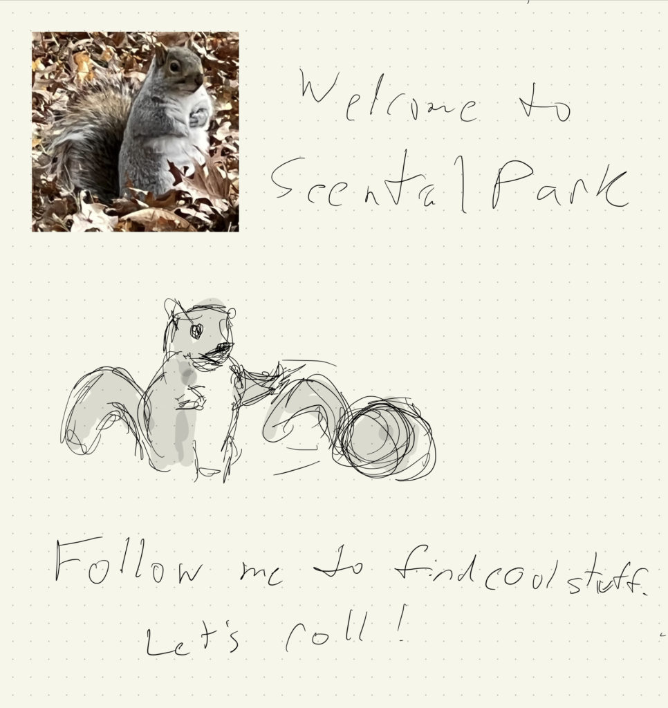 Welcome to Seentral Park. (Image of a plump squirrel from the park and illustrations of him pointing and rolling along) Follow me to find cool stuff. Let's roll!